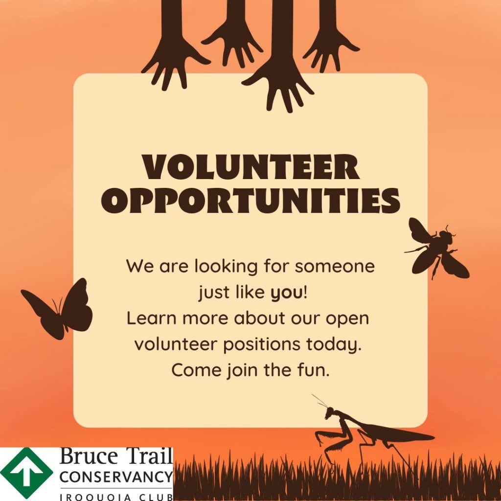 Image for volunteer opportunities